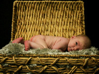 Brentlee Nash Lowry Newborn
